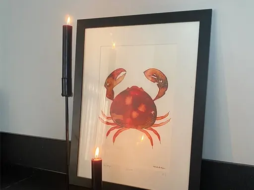 Mr Crab woonaccessoires van Urban Cotton