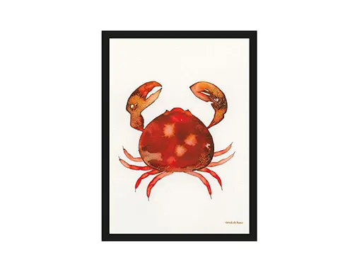 Mr Crab woonaccessoires van Urban Cotton